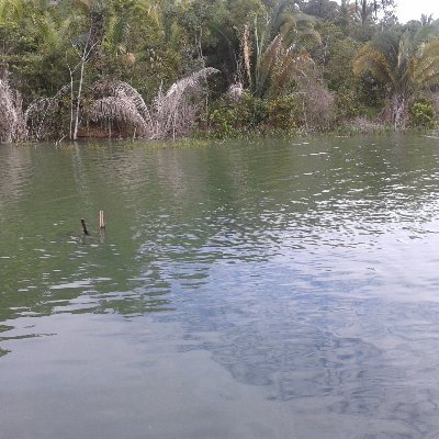 mazbr2021's profile picture. Nice Day.
https://t.co/LOSQnXaeKE