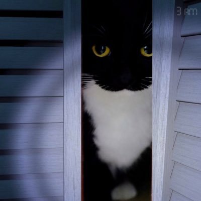 worthlssinput's profile picture. adhd asf | ace | they/them| unc status | I fw siege, cyberpunk, tf2, tf2, siege, terraria, souls franchise, yakuza, i lift too ig