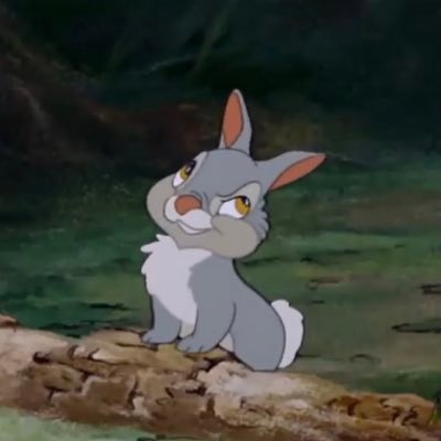 mochi_usataro_'s profile picture. 20↑ / 色々なﾎﾟﾀｸです( ¯꒳¯̥̥ )︎ 主に見る専⚆.̮⚆