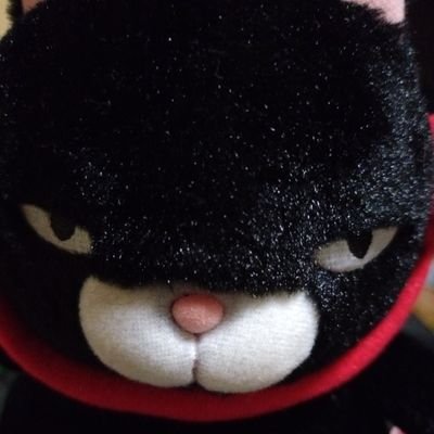 nFB4XcuGyD81067's profile picture. ヒロ