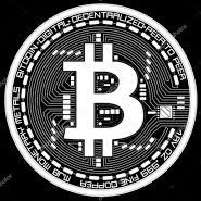 Zein (@zein_567) 's Twitter Profile