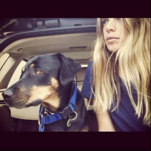 jacperrett's profile picture. communications manager, bassike