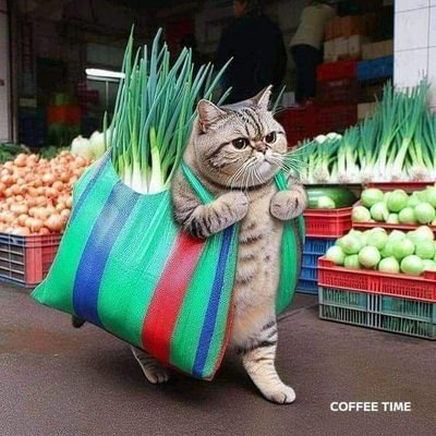 Men ularning suzishini kuzatdim