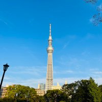 Qqq (@takamuratakam) 's Twitter Profile Photo