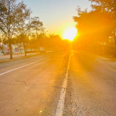 MokholaThapelo1's profile picture. 