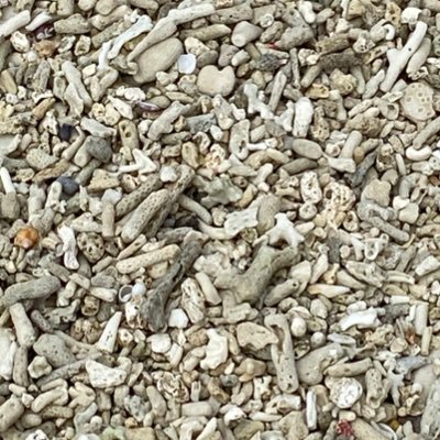 yap_bun_lin's profile picture. 