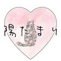 𓇬陽だまり𓇬NPO法人 函館地域猫活動・TNR活動団体(@hidamari2021) 's Twitter Profile Photo