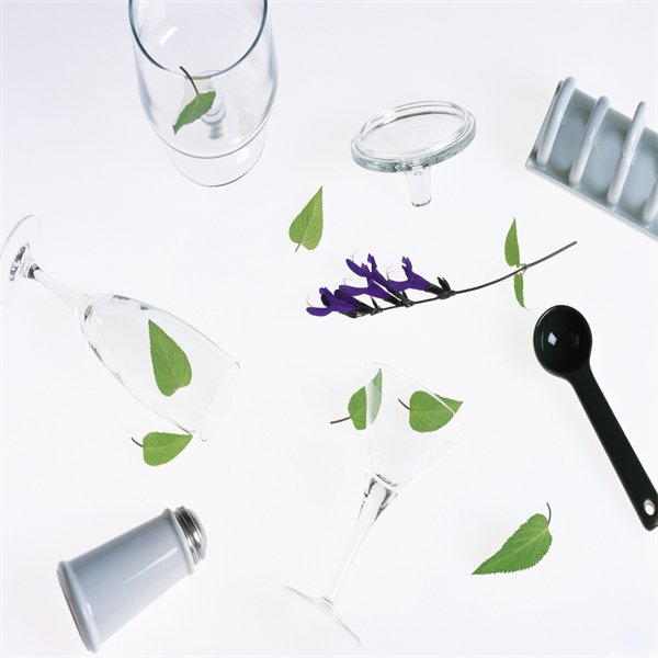 BerganCurc45297's profile picture. 