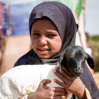 HoA DRIVE Somalia (@drivesom) 's Twitter Profile Photo HoA DRIVE Somalia (@drivesom) 's Twitter Profile Photo