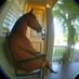 Caballo_BS (@waos8711) Twitter profile photo Caballo_BS (@waos8711) Twitter profile photo