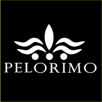 Pelorimo(@Pelorimo_) 's Twitter Profile Photo