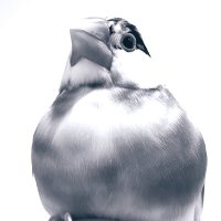 塚本麻莉|Mari Tsukamoto (@nov_zev) 's Twitter Profile Photo 塚本麻莉|Mari Tsukamoto (@nov_zev) 's Twitter Profile Photo