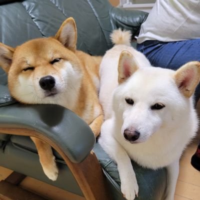 HADESさんのプロフィール画像