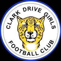 ClarkDriveGirlsFC(@ClarkDriveGFC1) 's Twitter Profile Photo