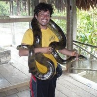 Claudio M (@clalmomo) 's Twitter Profile