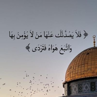 HJalya's profile picture. Medical laboratory technologist
#Palestine #Jerusalem.