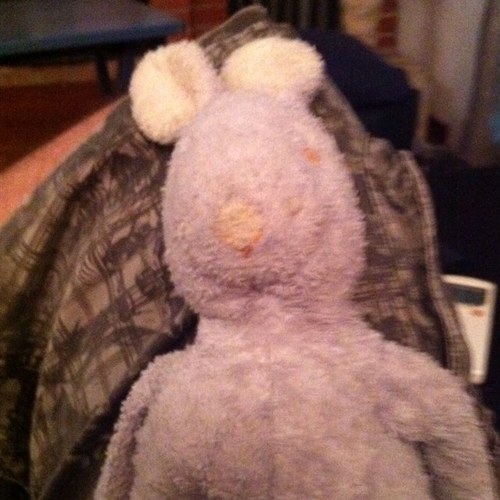 danicrous's profile picture. 