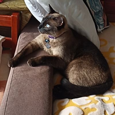 Hello, I'm Lucero from México