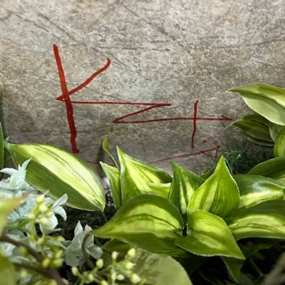 017はもの消しゴムになりたいさんのプロフィール画像