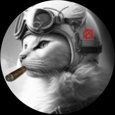 nobankitty Profile Picture