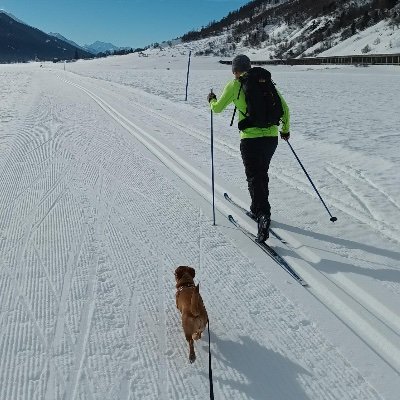 gran_viaje's profile picture. DevOps, SRE, Platforms, Infrastructure. he/him