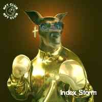 stormindeix's profile picture. Chris 🙋🏼‍♂️• creator 📸 • curator 🧐 • collector 🏦 please visit the rawgallerynft family of artists’ wonderful nft collections via the linktree below. 🎨⬇️