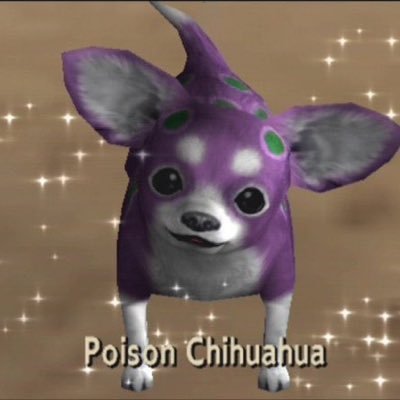 barrelstreep's profile picture. satx • queer mexican flutist • blm • ♋︎ ♉︎ ♑︎