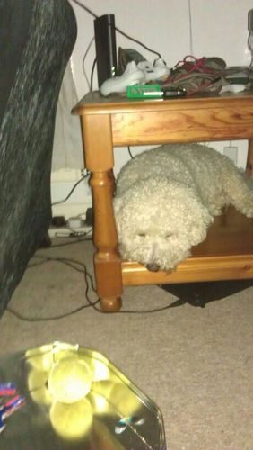 smithy_408's profile picture. 