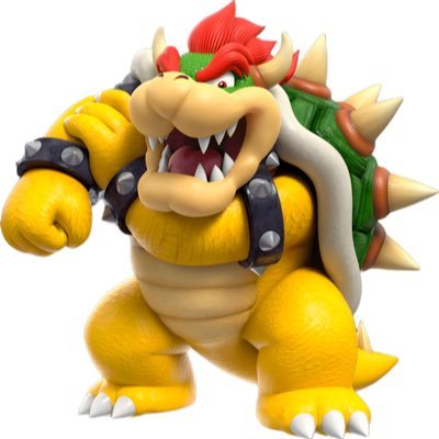 BOWSER RAHHH(account owner = minor/16)(in character half the time lol)(not Nintendo affiliated)(sux at rp)