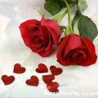 نور الحياة (@nwrly89148358) 's Twitter Profile Photo