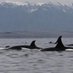Insider WhalesTrade (@insider_wtrade) Twitter profile photo Insider WhalesTrade (@insider_wtrade) Twitter profile photo