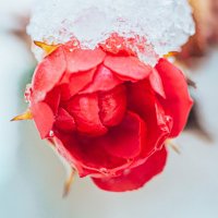 Magda (@mag_corda) 's Twitter Profile