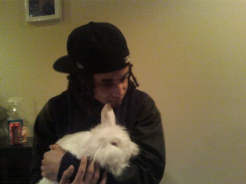 ninjadevioni's profile picture. 