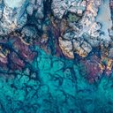 Milton Collins - @collins_mi89393 - Twitter