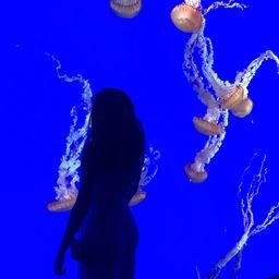 Teeses144224's profile picture. 卓越したものを追い求め、忍耐強くあれ。    https://t.co/yT29Ke3zGs