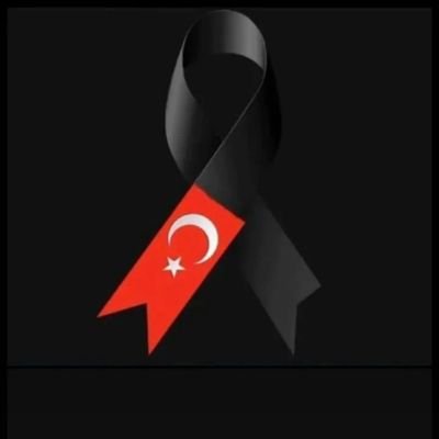 smailUs10405636's profile picture. Eğlence