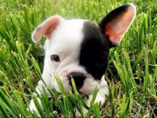 Linac10Lina's profile picture. 