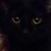 dink π΅πΈ (@stupidtrashboy) Twitter profile photo dink π΅πΈ (@stupidtrashboy) Twitter profile photo