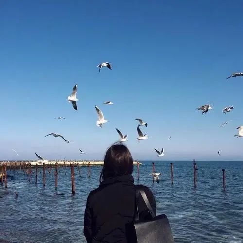 Saste463138's profile picture. 