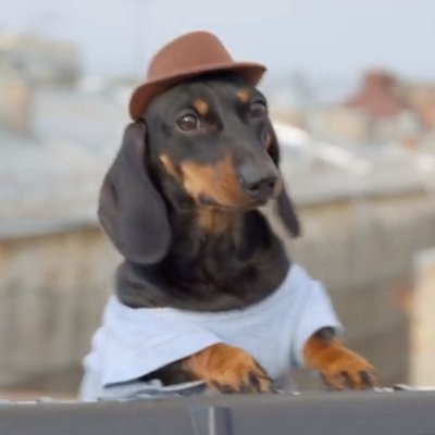 clearssj Profile