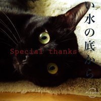 かずよん🐈‍⬛黒猫りゅう5/3.4にゃんこ博覧会R22(@kazuyo0716yon) 's Twitter Profile Photo