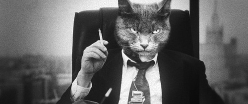 alexginsb's profile picture. Люблю общаться с умными людьми. Взаимный фолловинг FOLLOW ME AND I FOLLOW YOU! THANKS! #followback