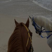 M (@mrafa823) 's Twitter Profile