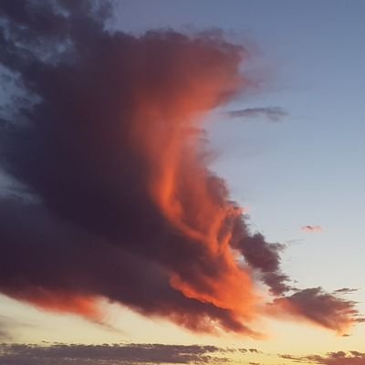 animals, humans, write things sometimes
past words Guardian, Sydney Morning Herald, The Age, ABC etc
DM or hereforallanimals@gmail.com for any tips, footage