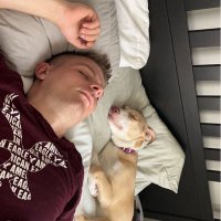 Mark (@_markmcl) 's Twitter Profile