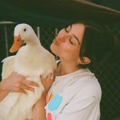 the duck’s not mine btw