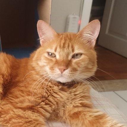 Patrici18567019's profile picture. Advogada.