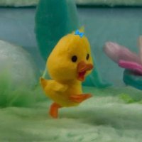 Patch 🩹🐥 (@patchescorner) 's Twitter Profile