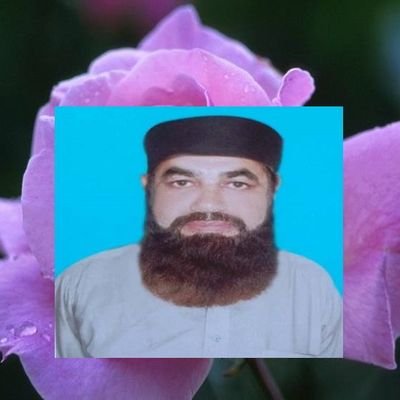 مجلس تحفظ ختم نبوت Profile