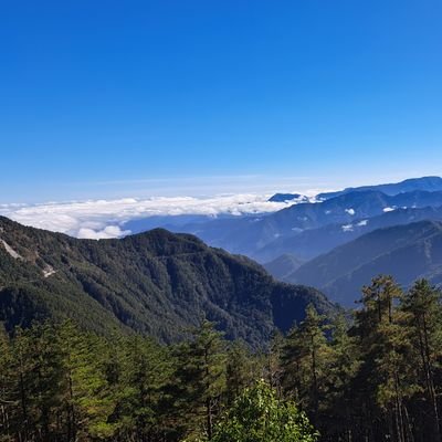 Jimmy91520's profile picture. A型+處女座的臘肉大叔！🙋
Goodbye to romance!🥀